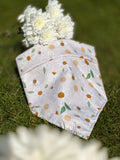 Daisy Days