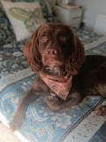 Ember