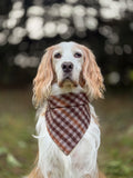 Autumn Gingham 🤎