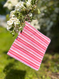 Raspberry Ripple