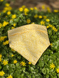 Daffodil