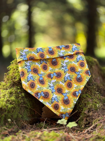Sunflower Meadow