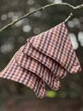 Autumn Gingham 🤎