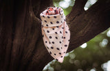 Pink Soft Spot